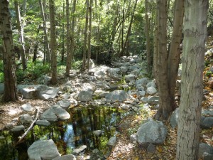 Creek Creek
