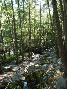 Creek Creek