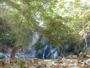 First View of the Waterfall First View of the Waterfall
