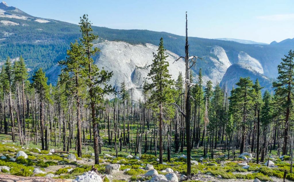 John Muir Trail