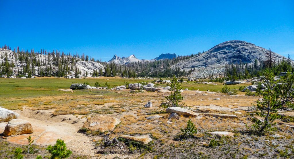 Long Meadow, Yosemite National Park