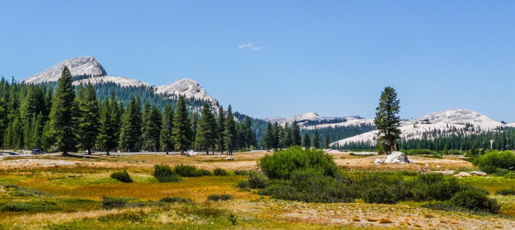 Tuolumne Meadows