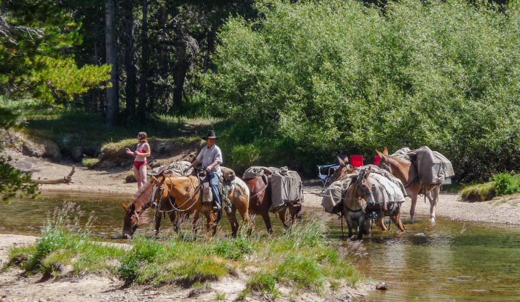 Tuolumne Meadows