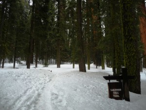 Snow covered trails Snow covered trails