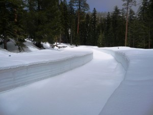 Road to parking lot north of General Sherman Road to parking lot north of General Sherman