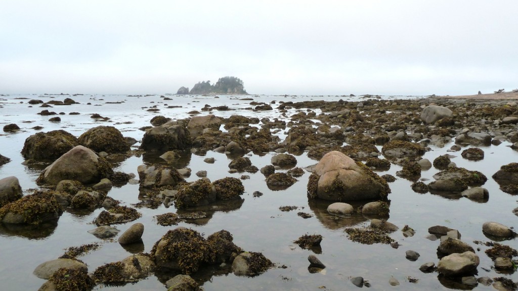 Ozette Island in the background