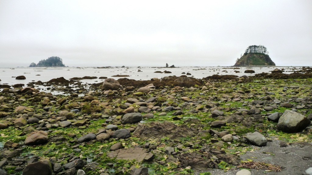 Cape Alava