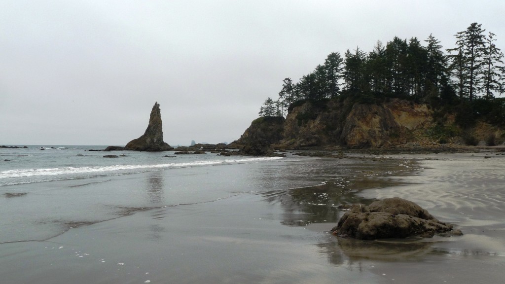 Olympic Coast