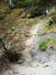 Ropes to reach inland trails