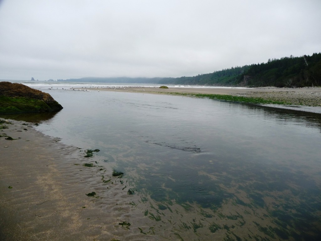 Ozette River