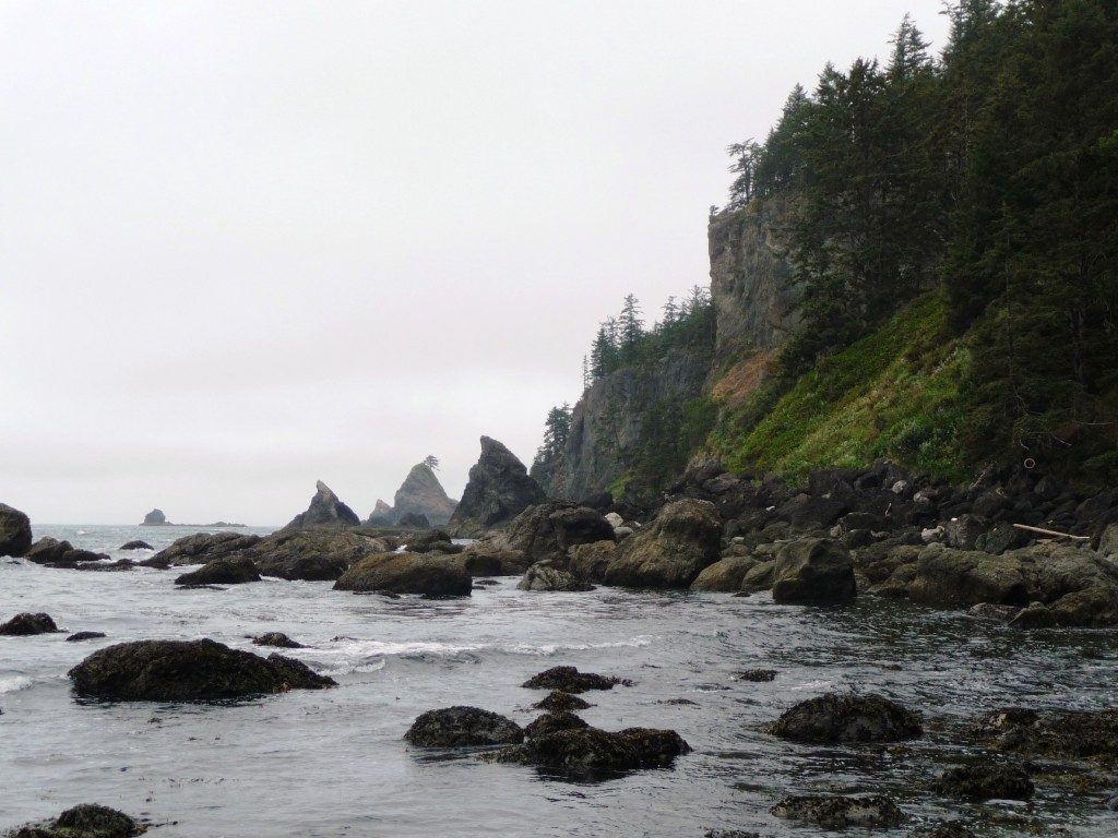 Olympic coast