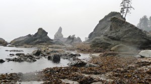 Shi Shi Beach Shi Shi Beach