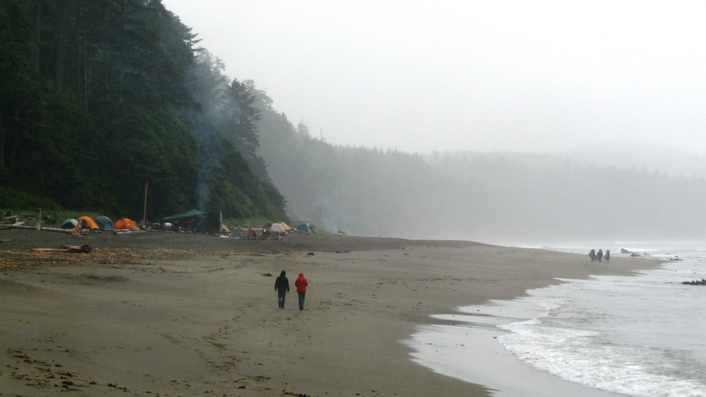 One last look at Shi Shi Beach