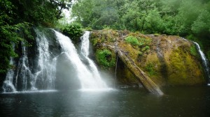 Waterfall Waterfall
