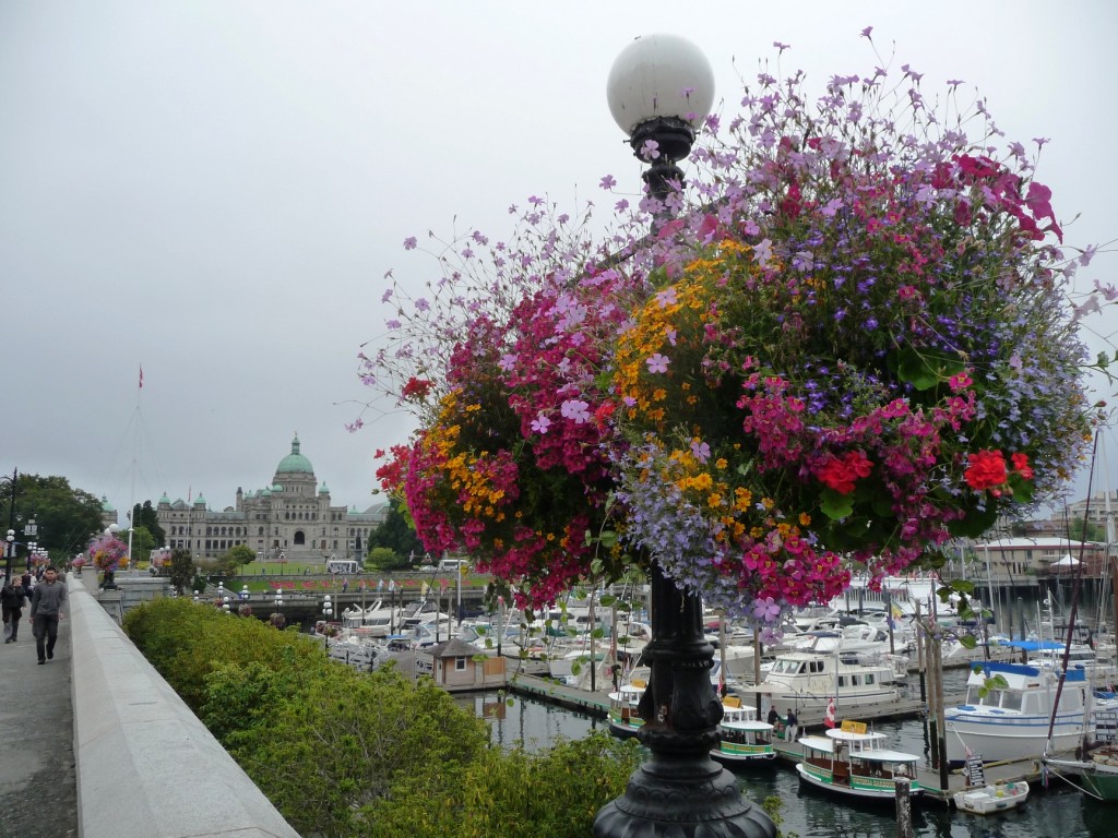 Victoria Harbour