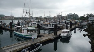 Fisherman's Wharf Fisherman's Wharf
