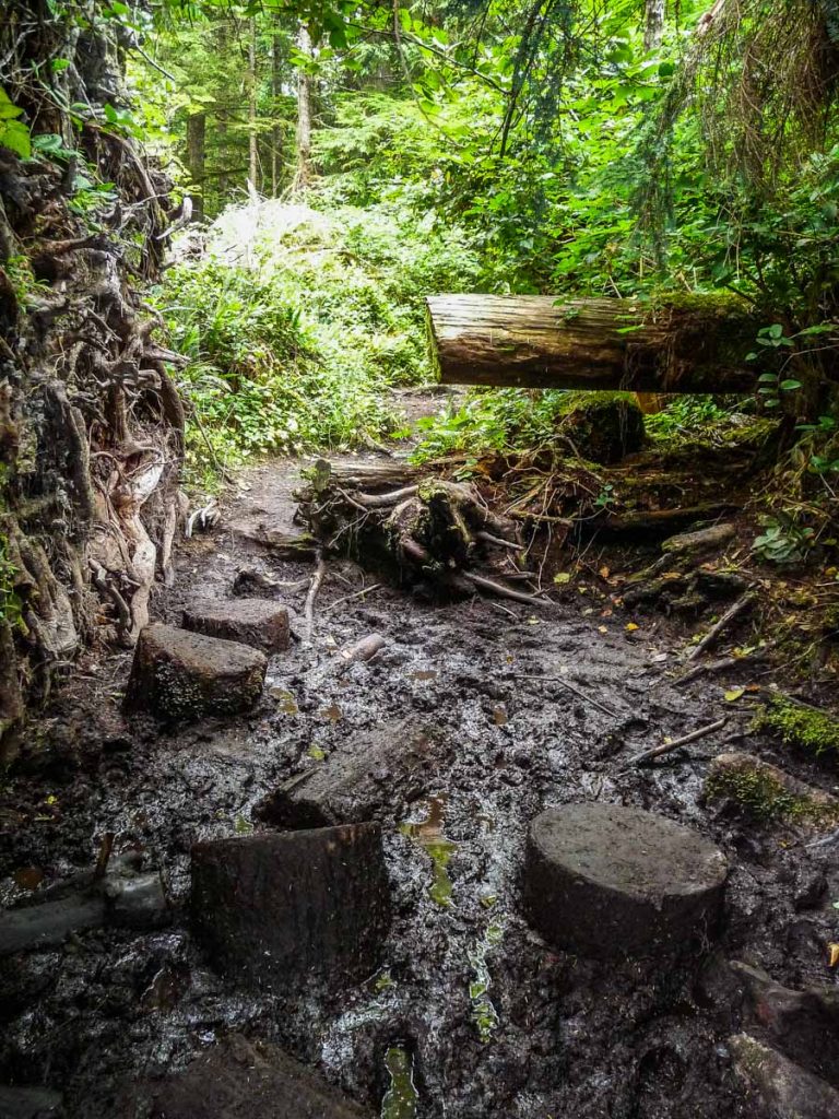 Muddy trail, West Coast Trail