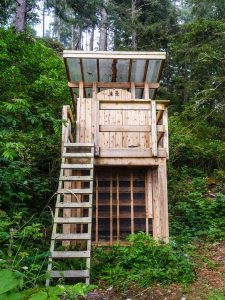 Amazing compost toilet Amazing compost toilet