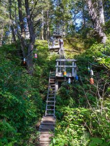 Ladders going down to Tsusiat Falls