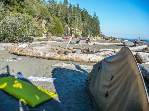 Tsusiat Falls campsite