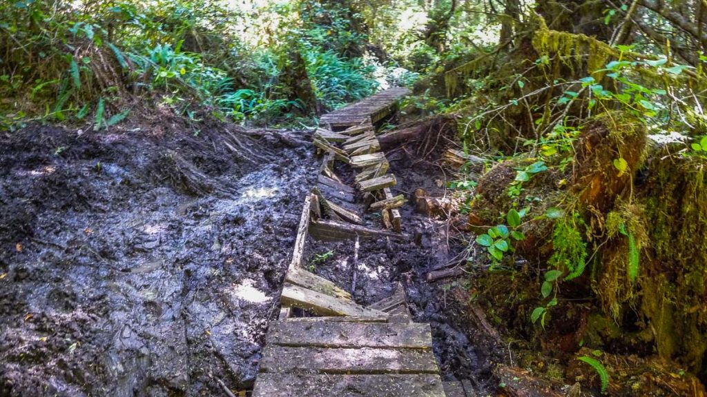 Boardwalk in pretty bad shape, West Coast Trail