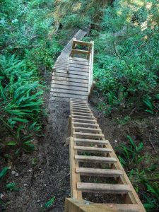 Steep ladders to the beach Steep ladders to the beach