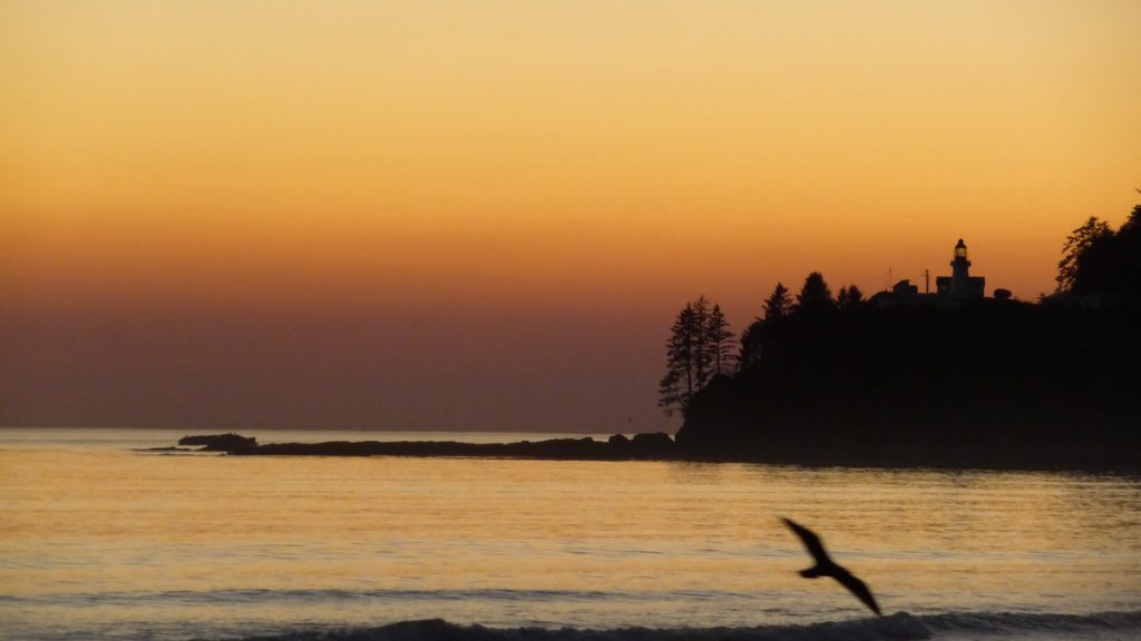 Carmanah Lighthouse from a distance, West Coast Trail