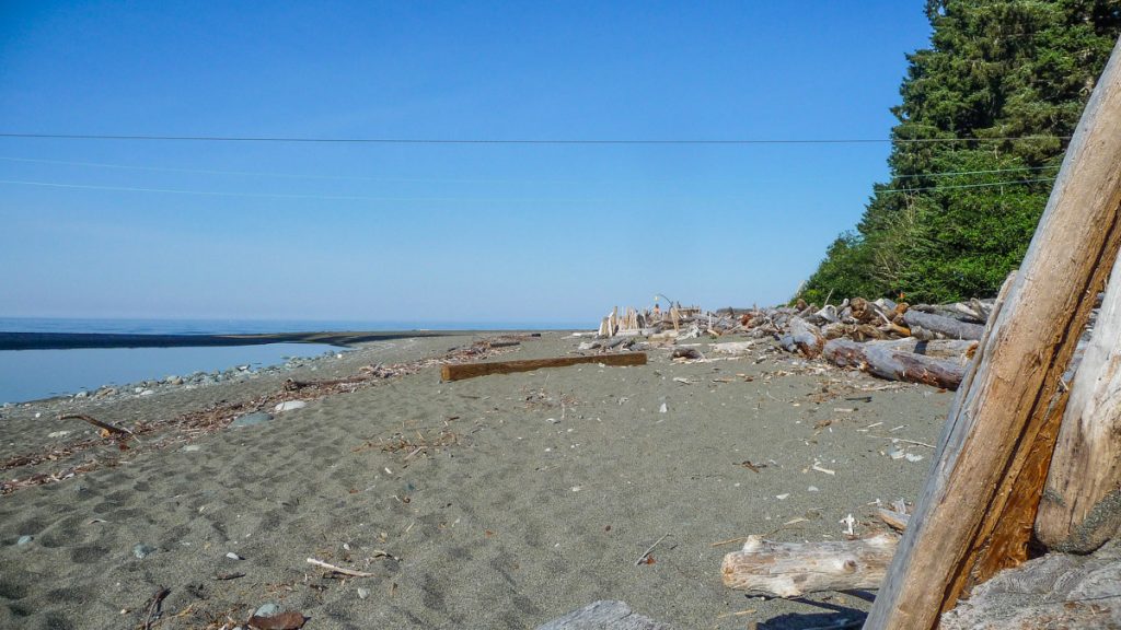 Carmanah Creek campsite, West Coast Trail