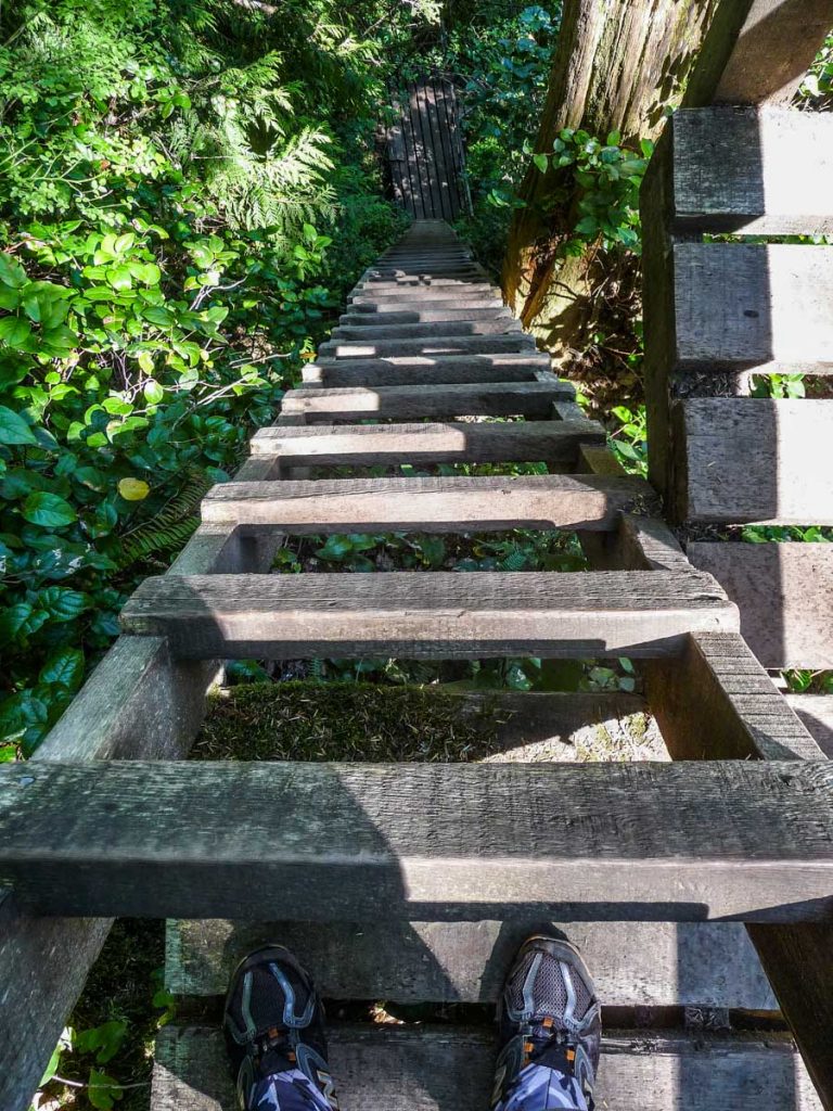 Ladders, West Coast Trail