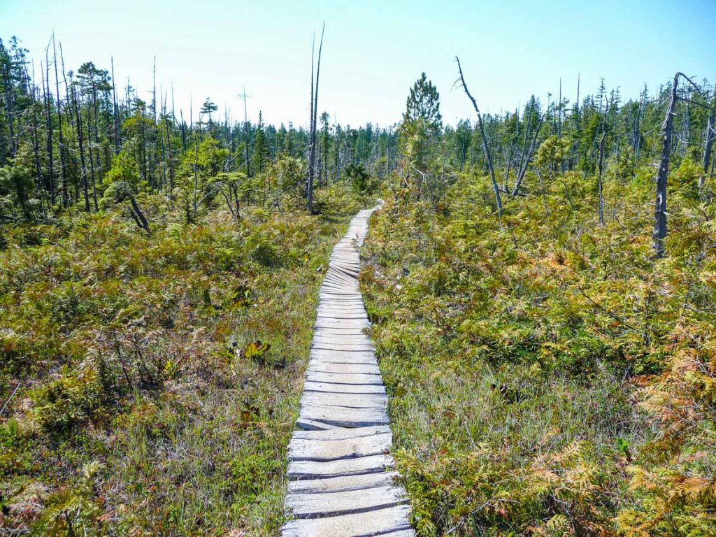 West Coast Trail