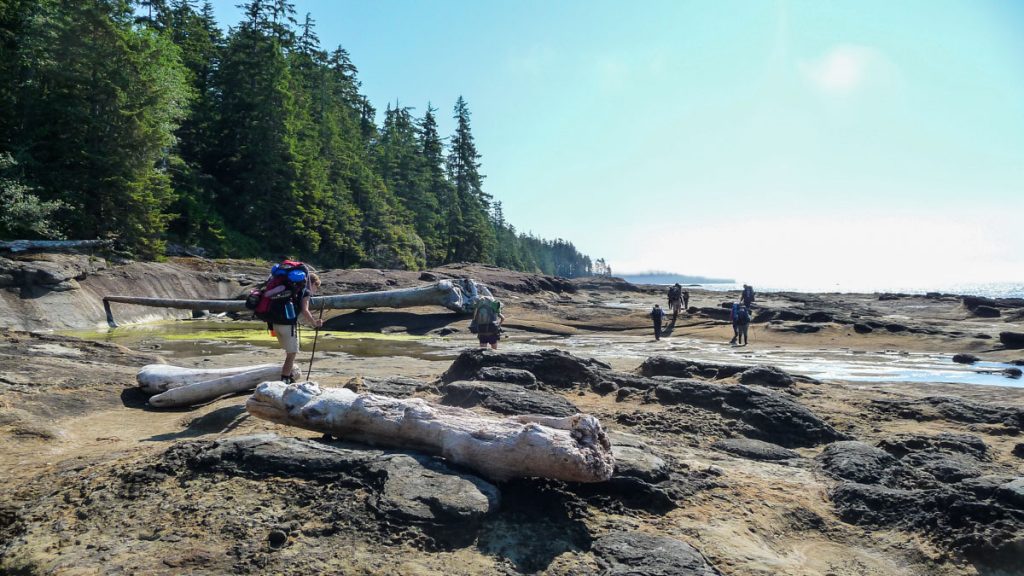 Running into another hiking group on the West Coast Trail