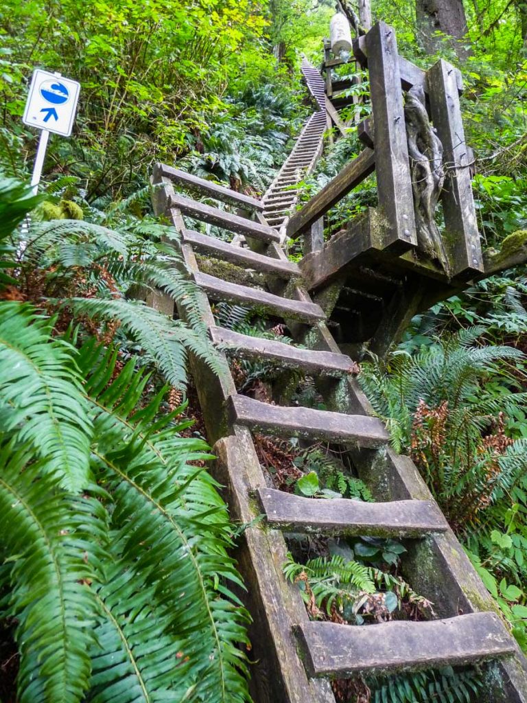 Thrasher Cove ladders, West Coast Trail