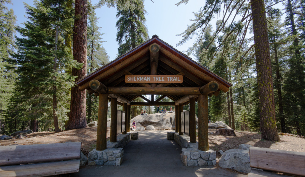 The trail to General Sherman Tree