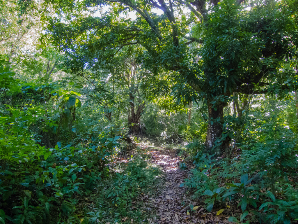 Waitukubuli National Trail Segment 1