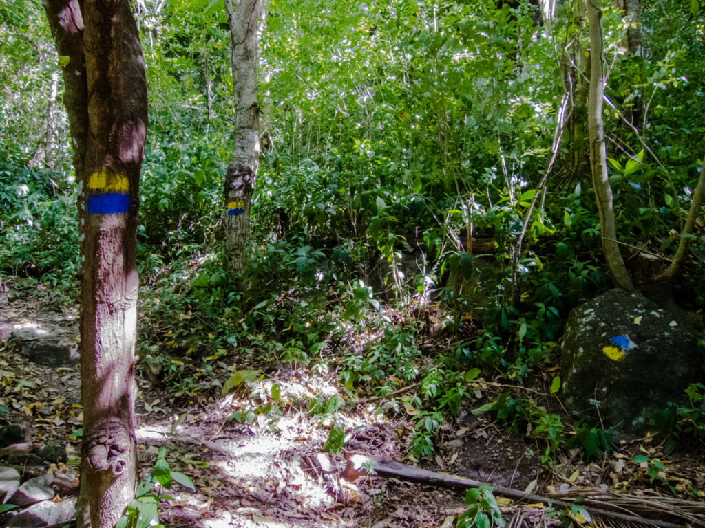 Waitukubuli National Trail trail marker