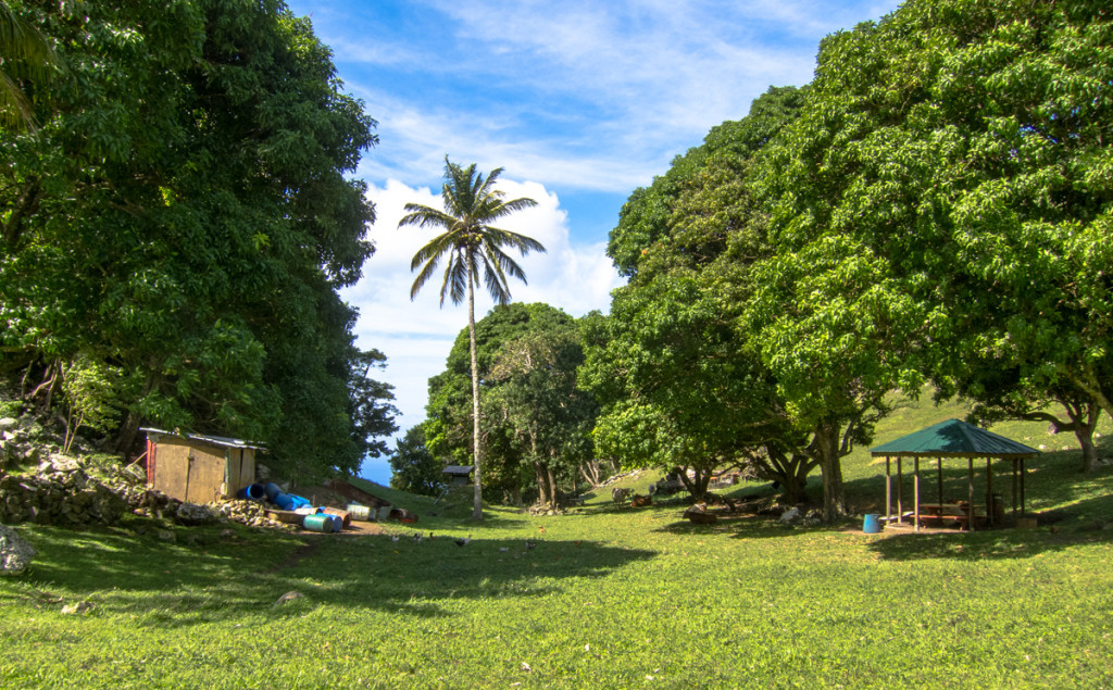 Pasture on Waitukubuli National Trail