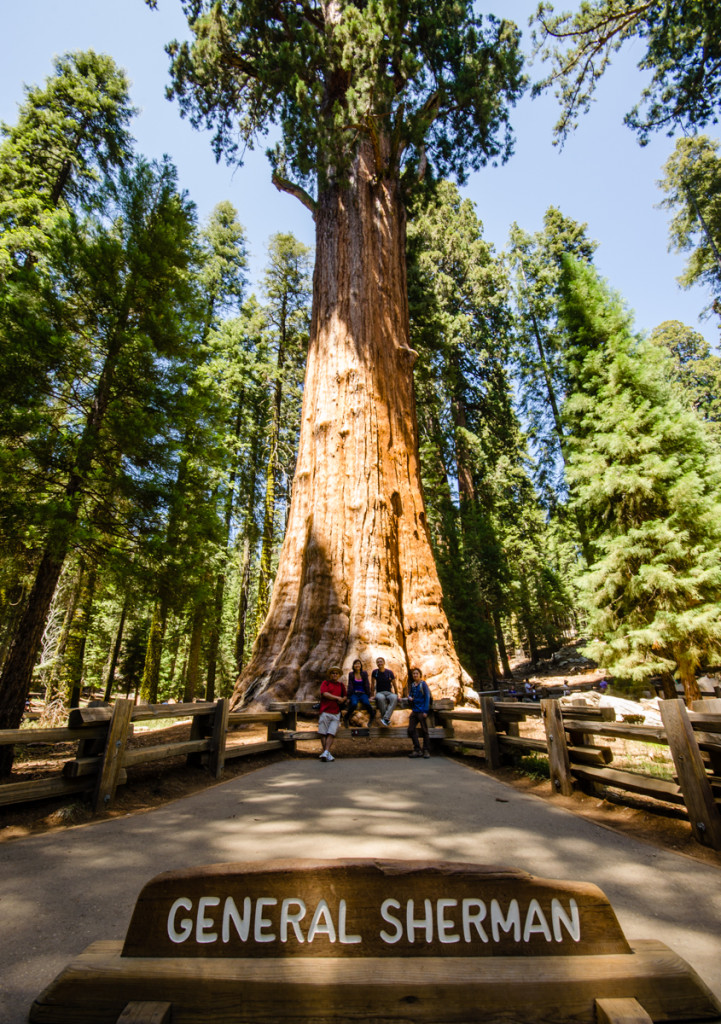 General Sherman, Sequoia National Park