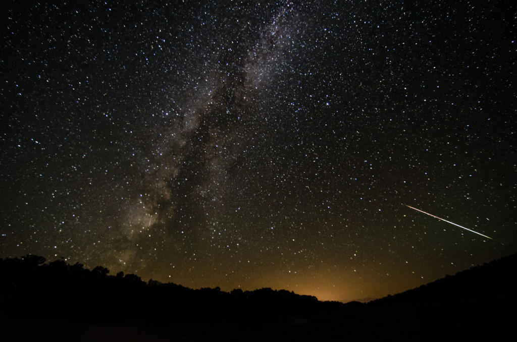 Perseid Meteor Shower at Ancient Bristlecone Pine Forest