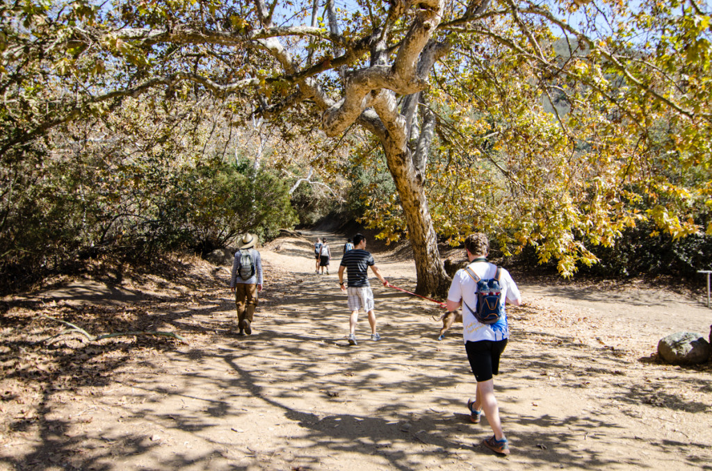 Bronson Canyon Trail