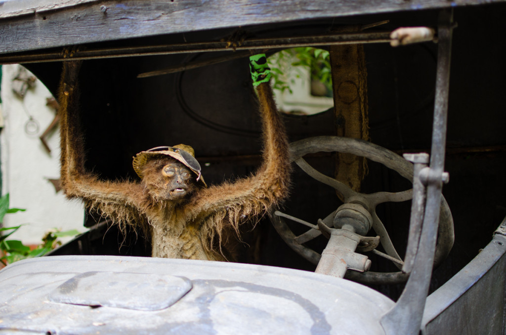 Embalmed monkey at Hotel Yeneka, La Paz