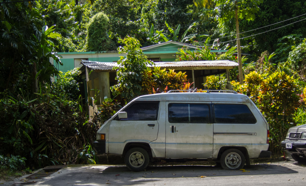 Dominica National Pass vendor at Soufriere