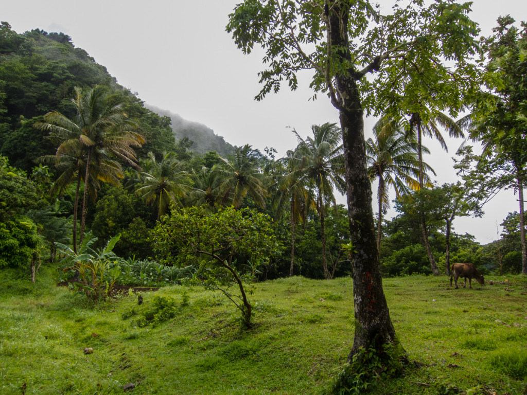 Waitukubuli National Trail