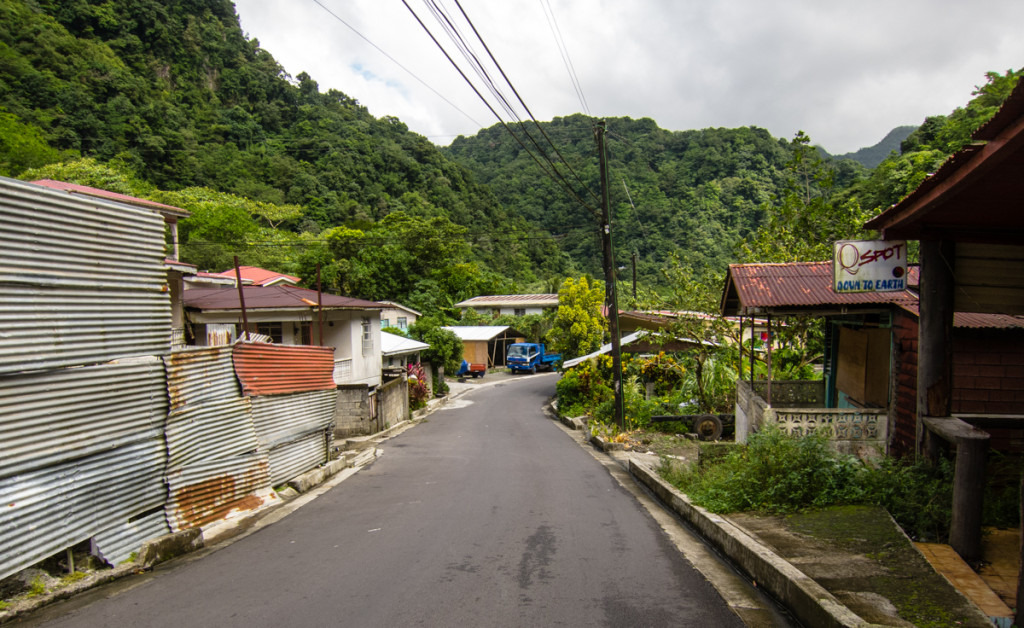 Pichellin, Dominica