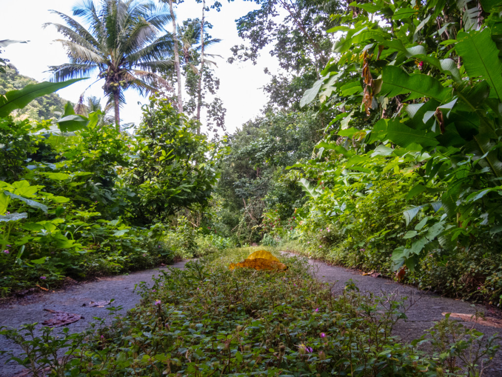 Waitukubuli National Trail