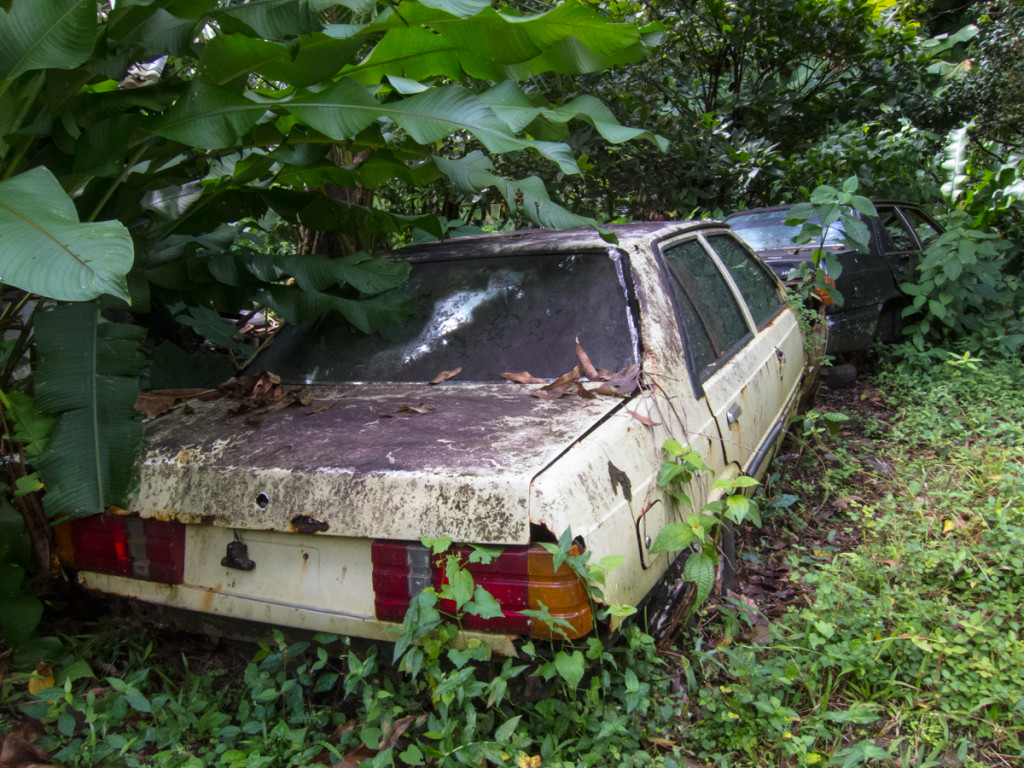 Where cars go to die in Dominica, on the side of the road.