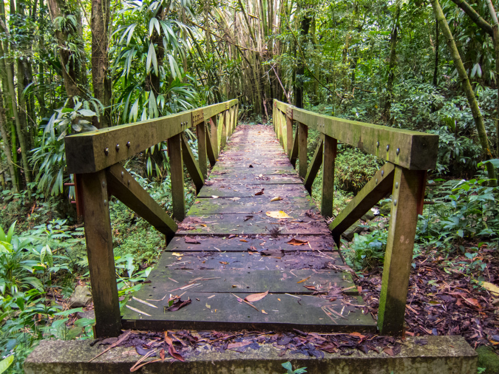 Bridge on the Waitukubuli National Trail