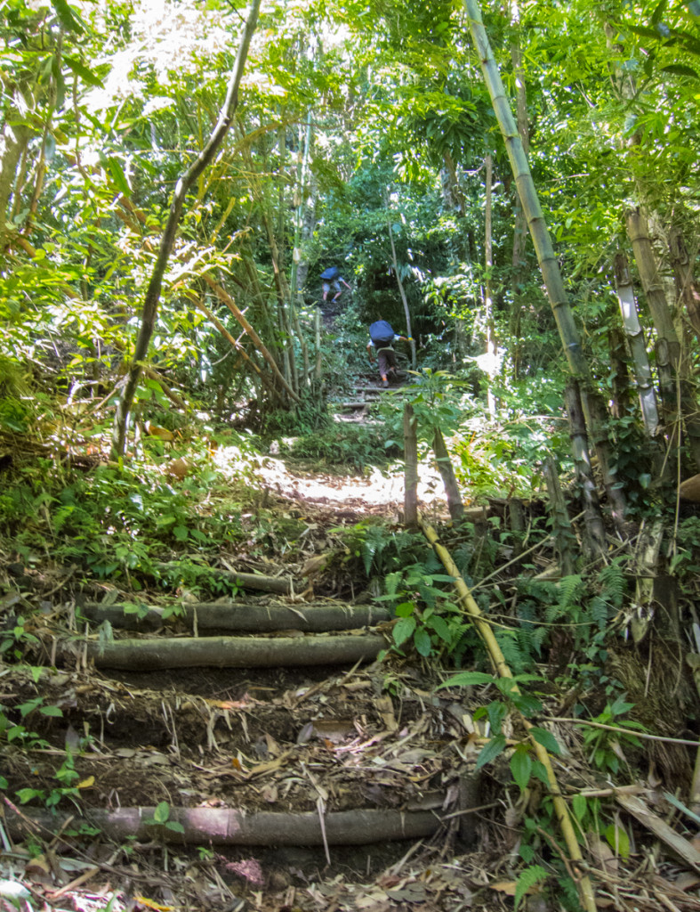 Greg and Ervé, Waitukubuki National Trail