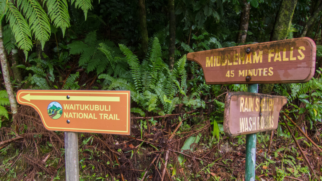 Middleham Falls trail, Dominica