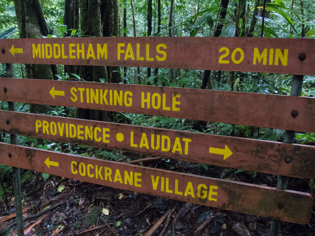 Middleham Falls trail, Dominica