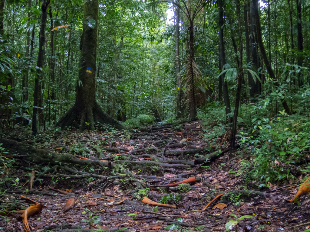 Segment 4, Waitukubuli National Trail